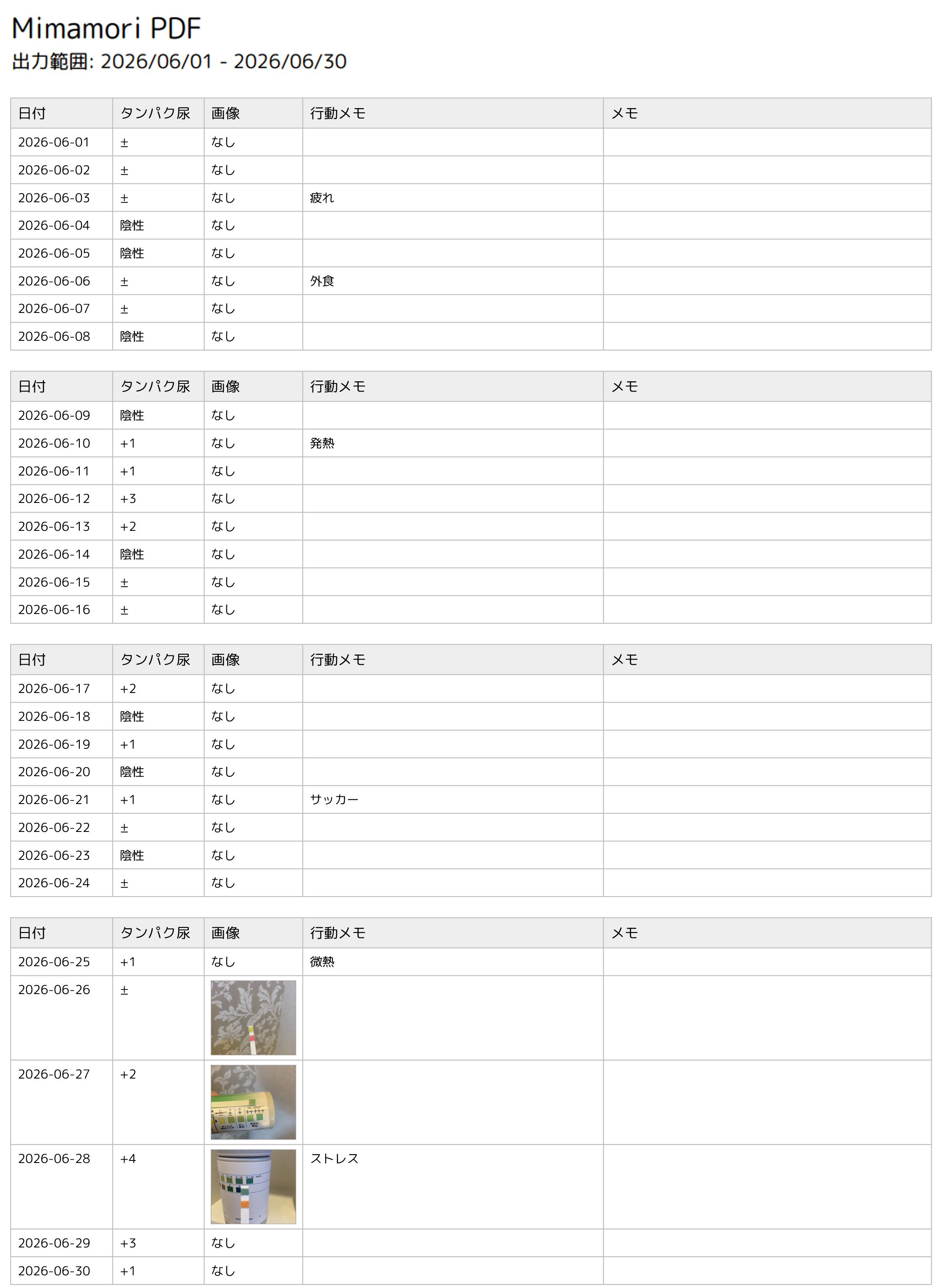 PDF出力イメージ拡大表示
